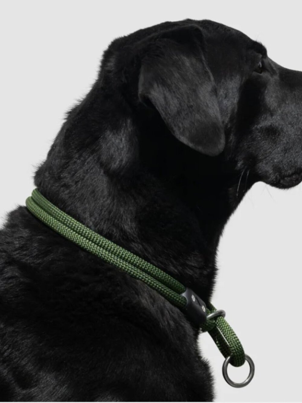 Gently used  Atlas Lifetime Slip Collar  18-22"  for Large Dogs